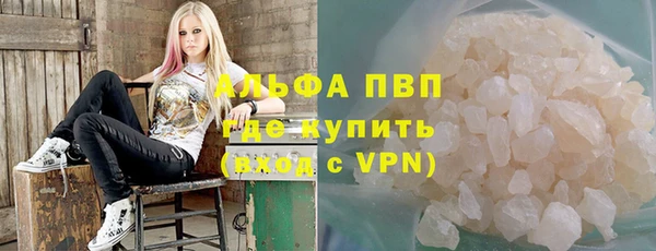 спиды Вяземский